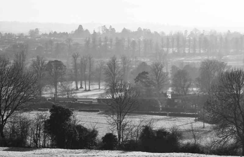 frosty morning.jpg